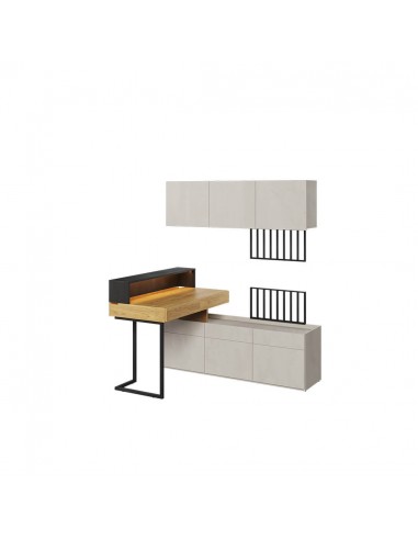 Ensemble de mobilier de bureau en bois, pour enfants et jeunes, 5 pièces, Teen Flex Set 07 Small, Naturel / Gris / Noir les ctes