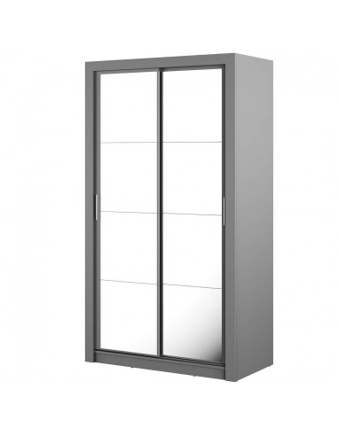 Armoire en bois clair, avec 2 portes coulissantes et miroir Arti 19 Double, Gris Mat, L120xP60xH215 cm de votre