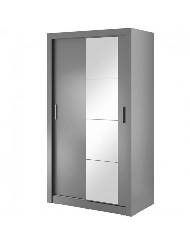 Armoire en bois clair, avec 2 portes coulissantes et miroir Arti 06, Gris Mat, L120xP60xH215 cm store