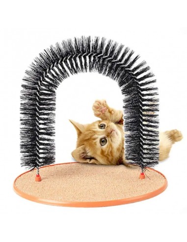 Brosse de massage et de nettoyage à gratter pour chat CATTOY français